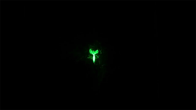 An image of two green mushrooms waving, generated by an oscilloscope